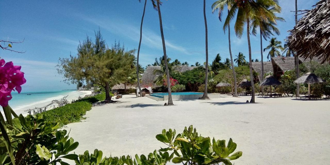 Belvedere Resort Jambiani  Buitenkant foto